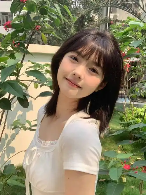 蜘蛛池和Schema结构化数据的配合